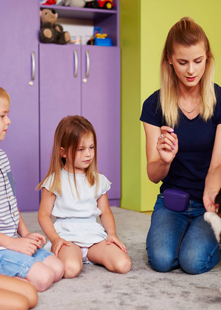 Kiemelt fejlesztések